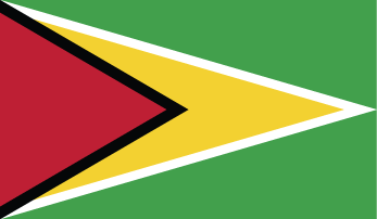 Flag Image